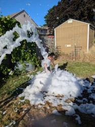 PXL 20250714 013012188.MP 1752707396 Foam Cannon